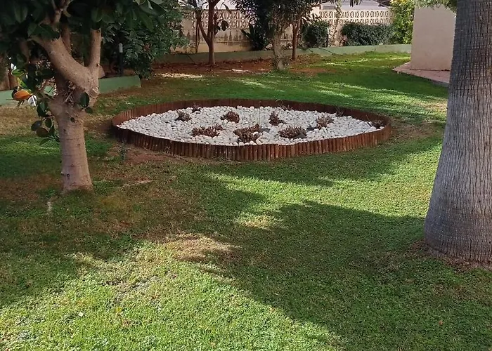 Rosa De Vientos